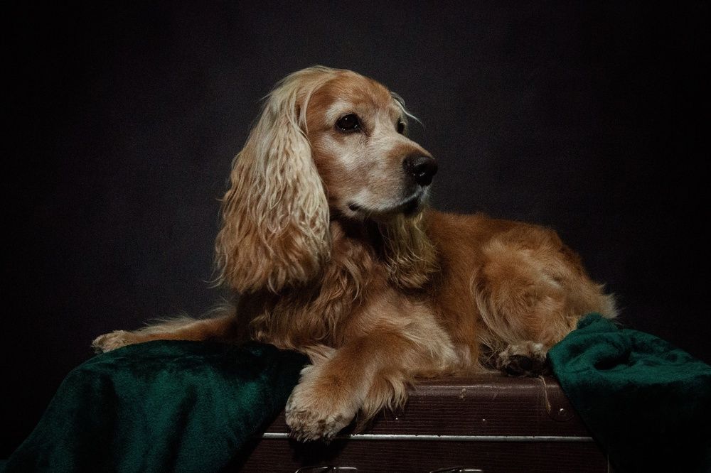 Photograph by Александра Чеканова