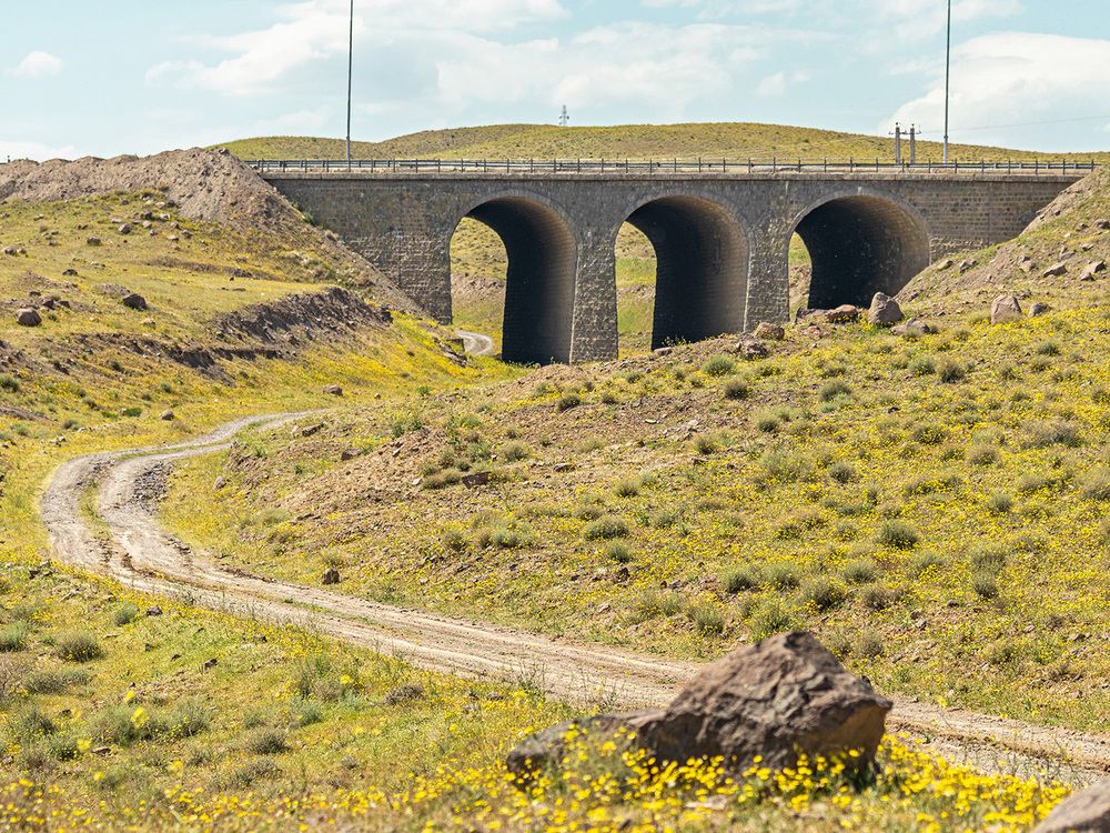 Фотография автора Davoud Naeimi