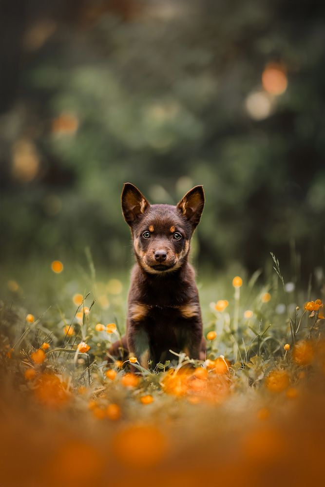 Wonder in the Weeds