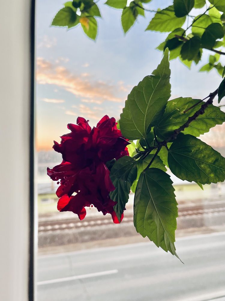 Photograph by Татьяна Лышенко