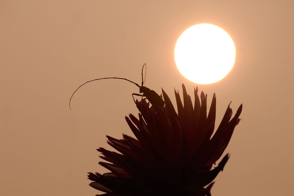 Во время пожара