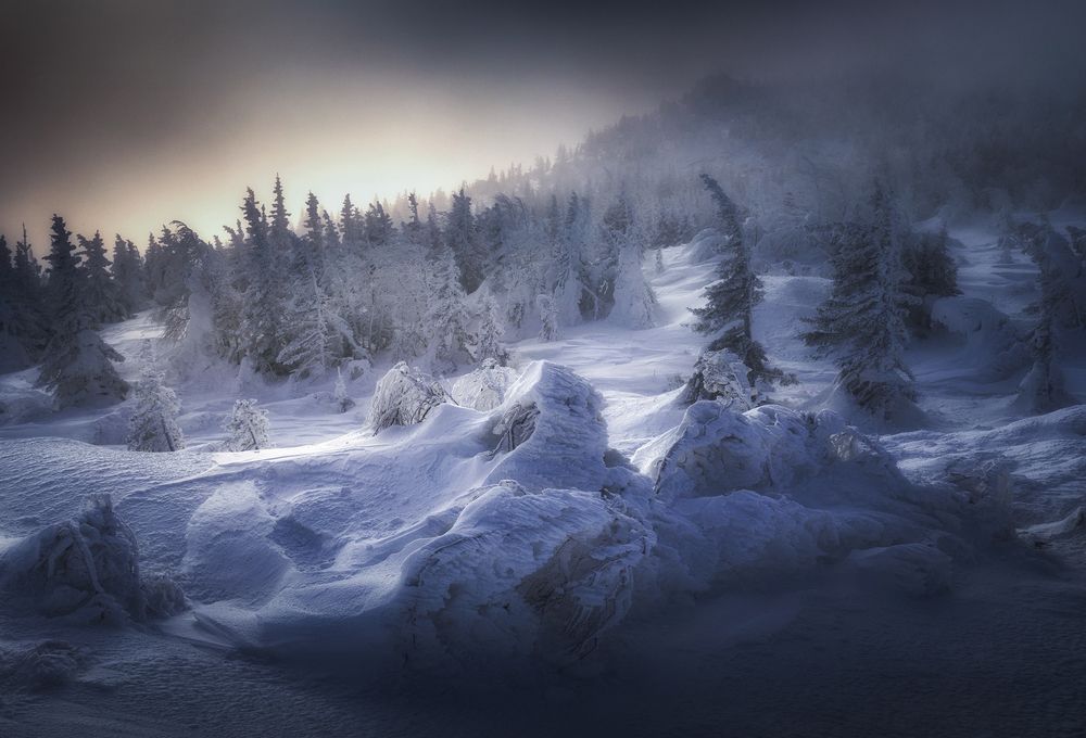 Photograph by Татьяна Бирюкова