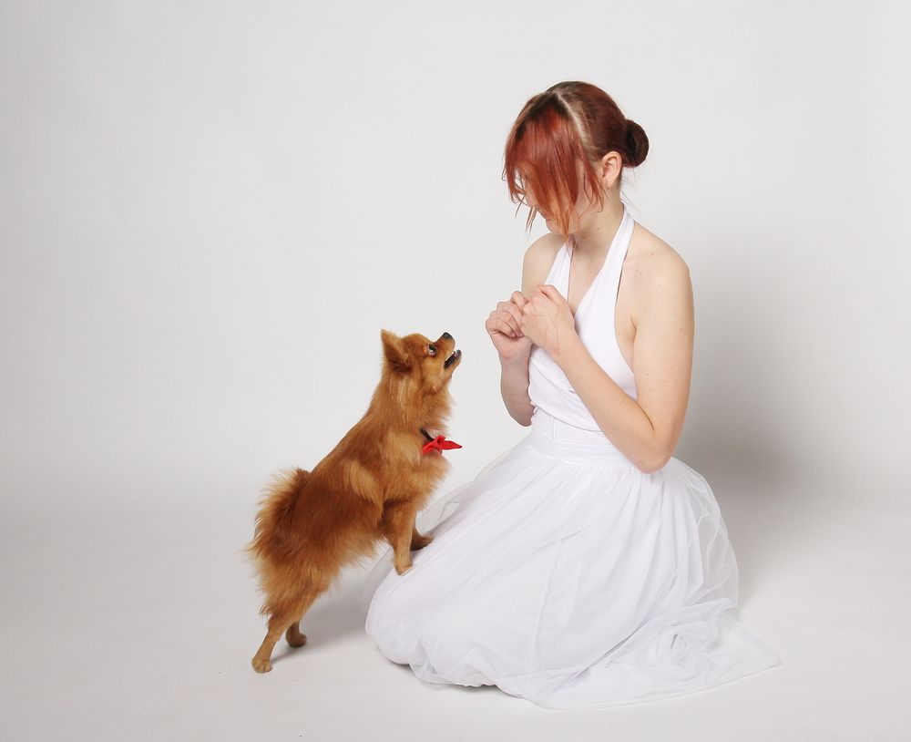 Photograph by Геннадий Титов