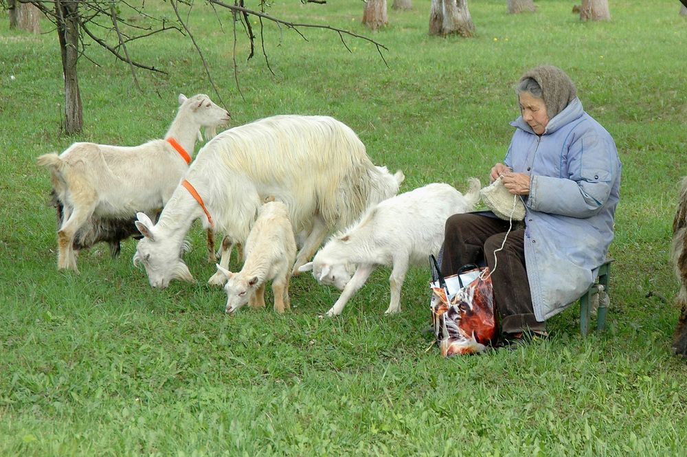 Photograph by Николай Семенец