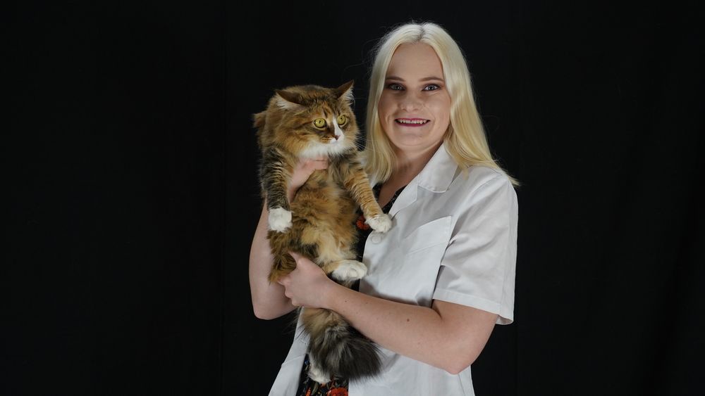 Photograph by Toomas Tõnisalu