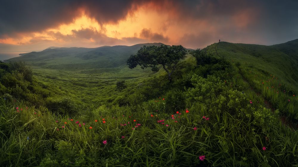 Photograph by Андрей Кровлин