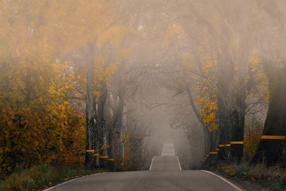 Photograph by Лариса Дука