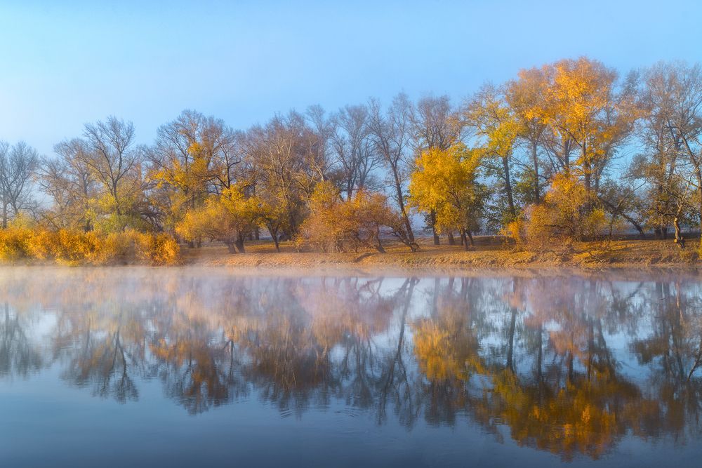 Photograph by Лариса Дука
