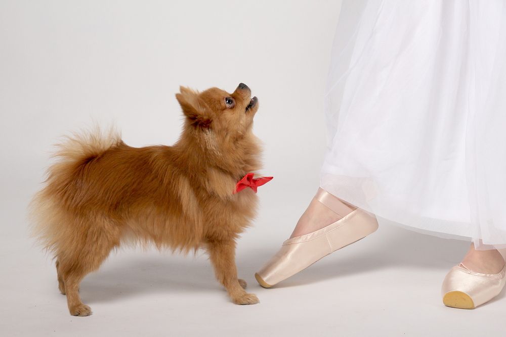 Photograph by Геннадий Титов