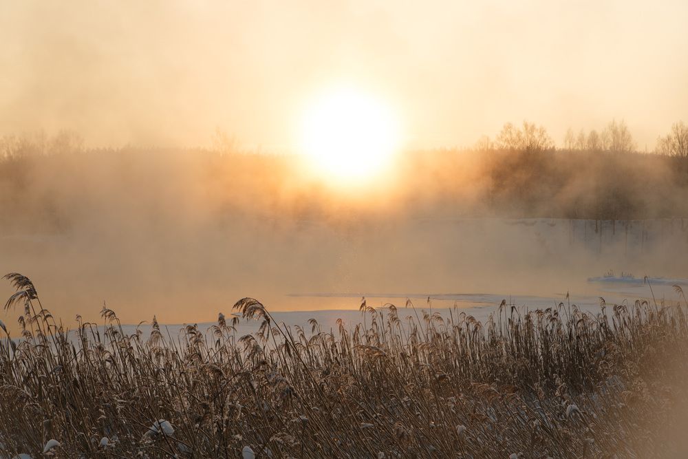 Photograph by Дарья Улюсова