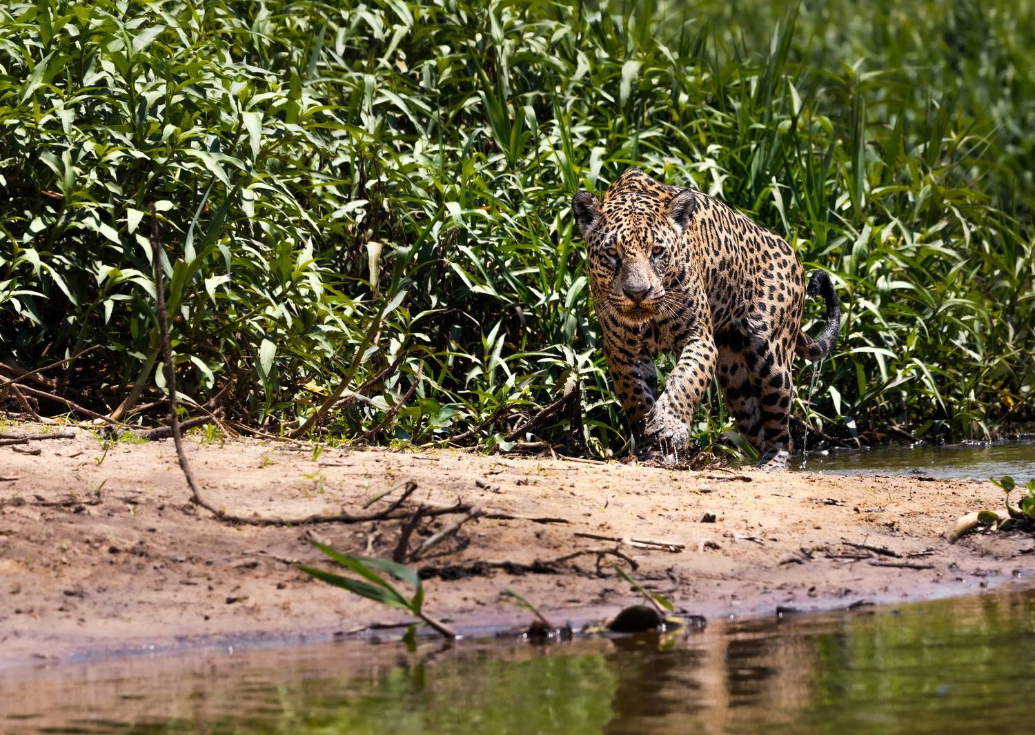 Face to face Face to face
