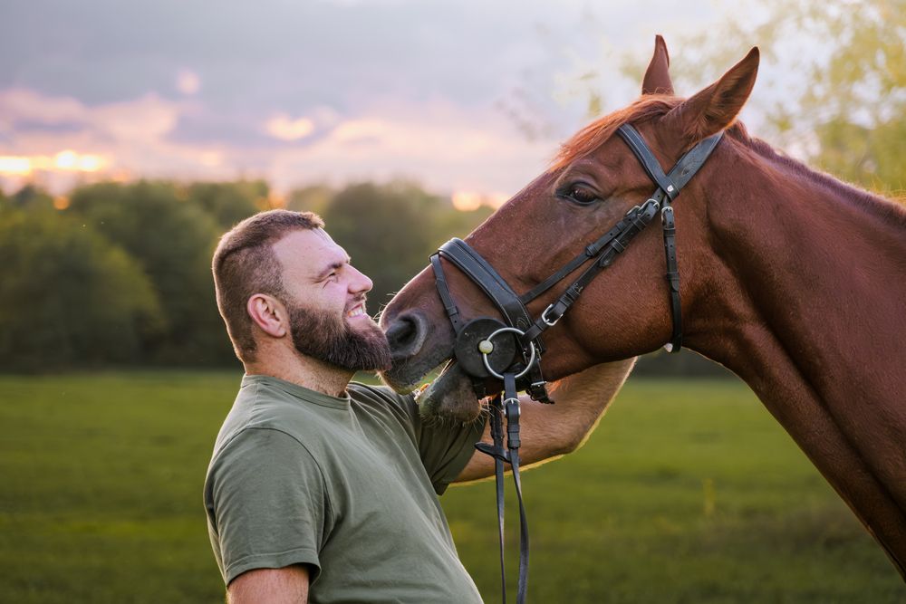 Photograph by Veronika Biró