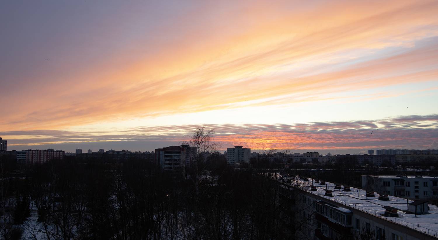 Photo #13293236