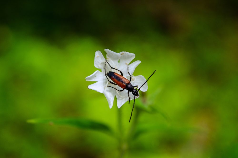 Photograph by Татьяна Жиркина