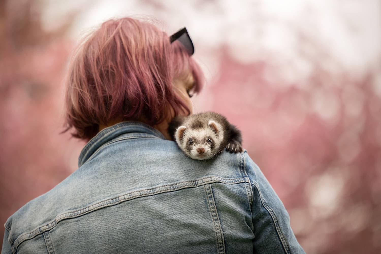 I\'ll show you the world