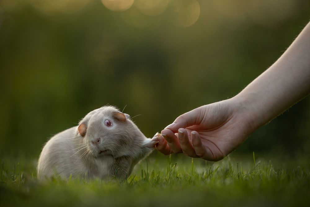 Even in darkness I will find you