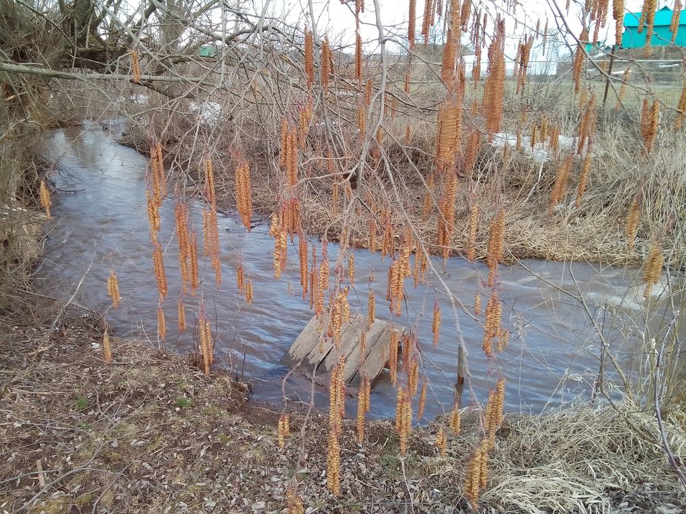 Photograph by Лилия Исхакова