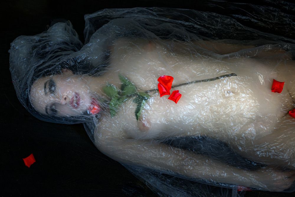 Photograph by Александр Лис