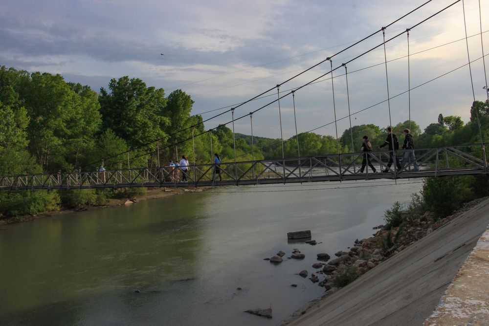 Фотография автора Татьяна Сергиенко