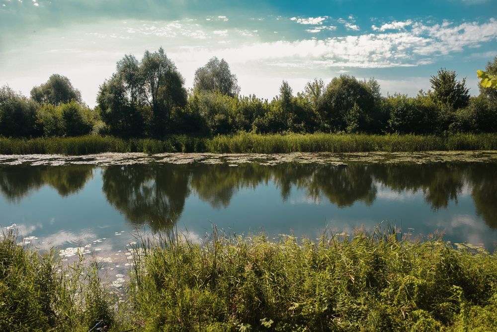 Photograph by Алла Никушкина