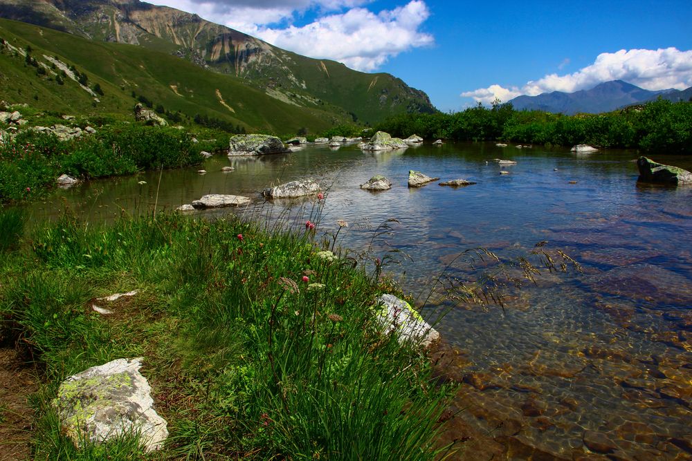 Фотография автора Татьяна Сергиенко
