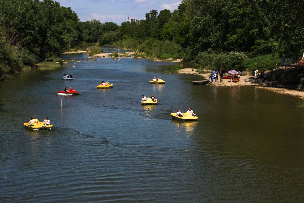 Фотография автора Татьяна Сергиенко