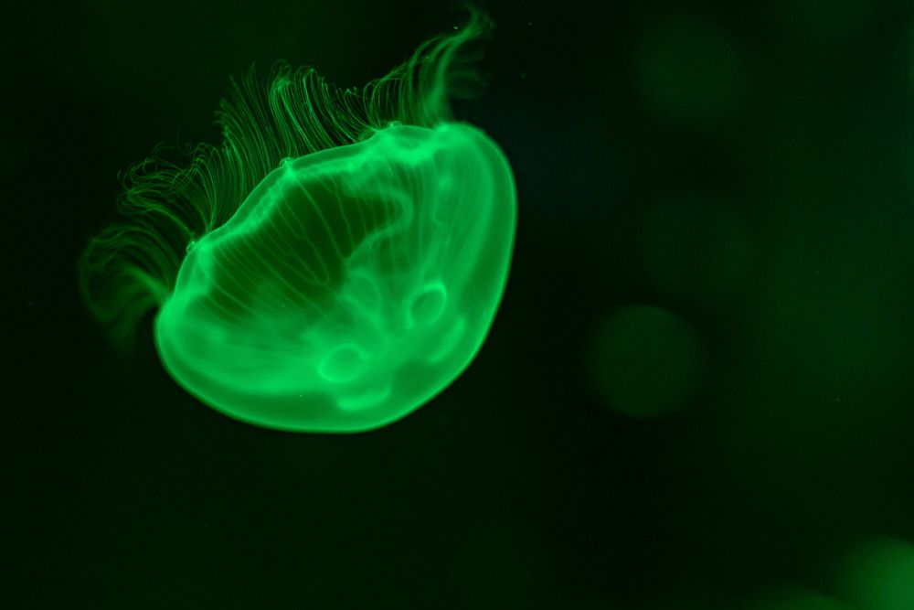 Photograph by Владимир Охрименко