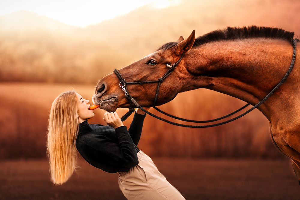 Photograph by Tereza Krestová