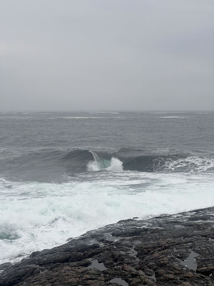 Photograph by Александра Акси