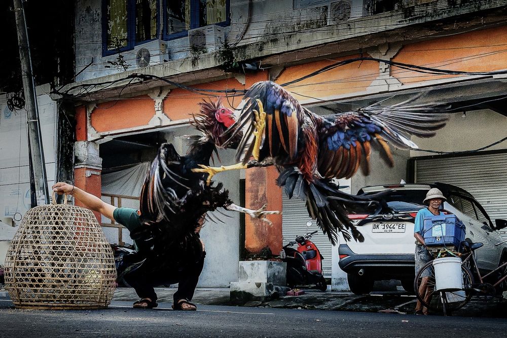 Photograph by Yaskara Dana