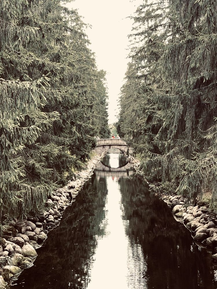 Photograph by Светлана Смук