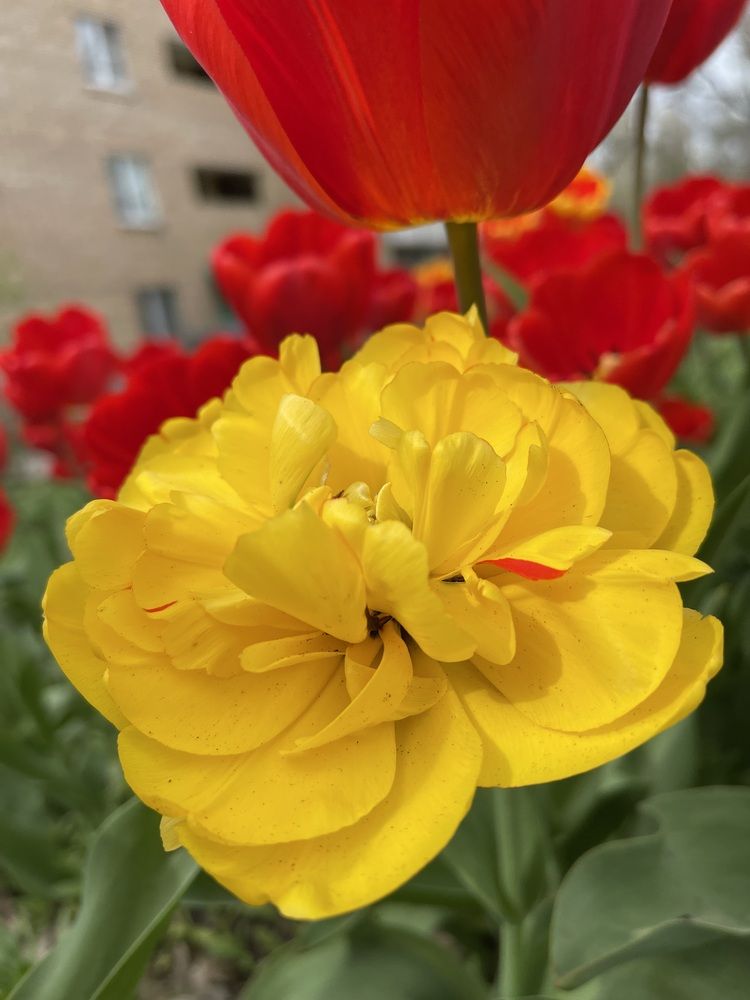 Photograph by Светлана Смук