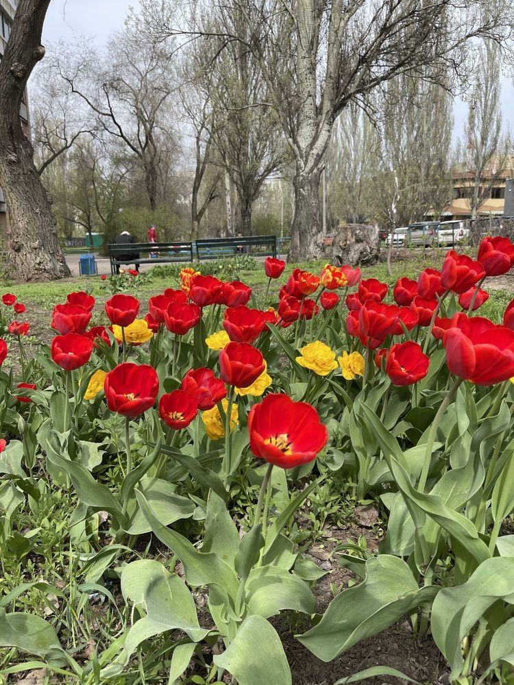 Photograph by Светлана Смук