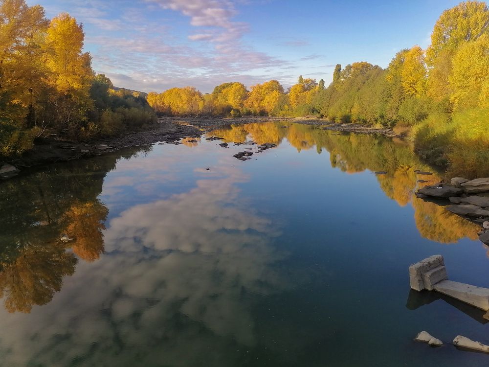 Фотография автора Татьяна Сергиенко