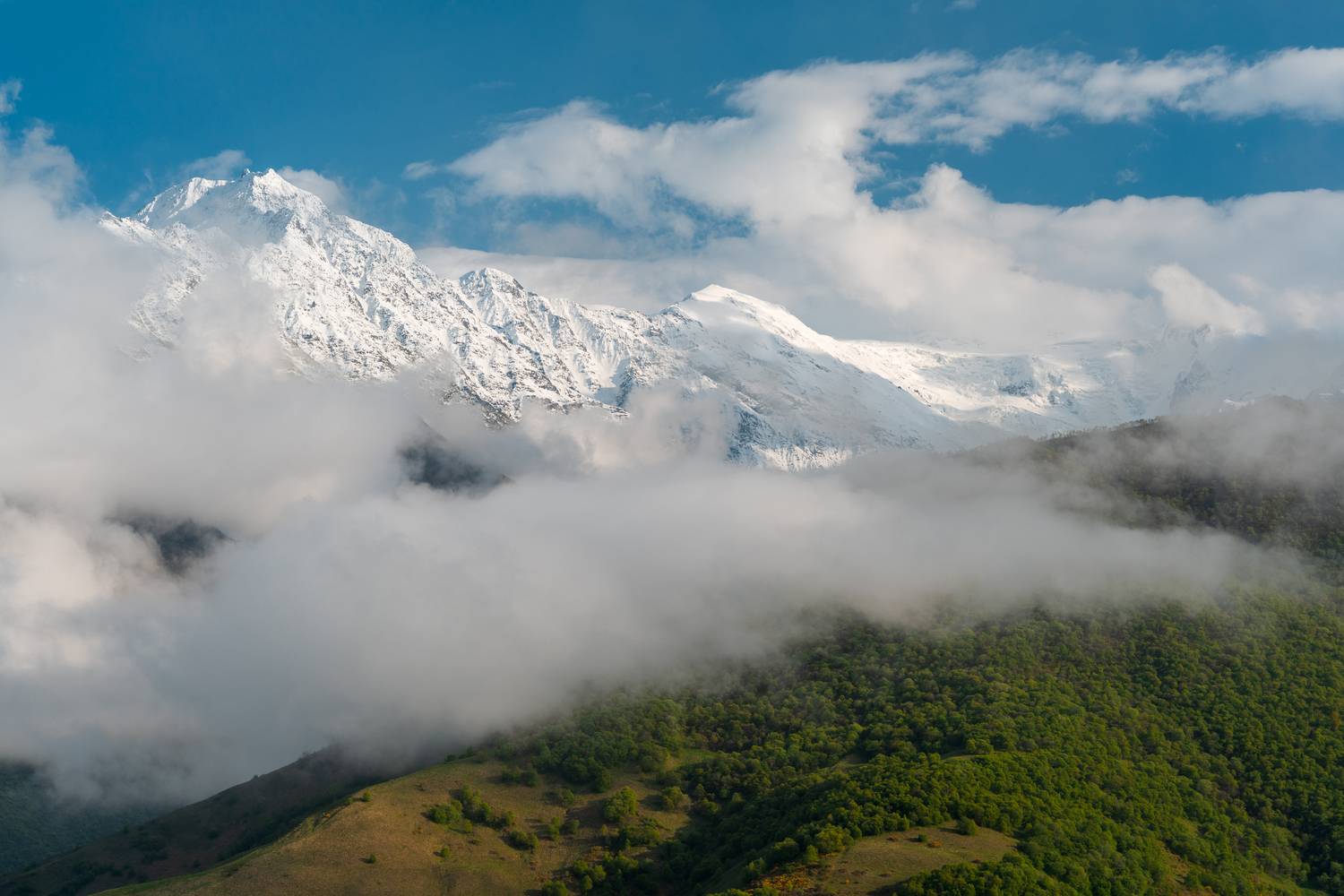 Фотография #13293504