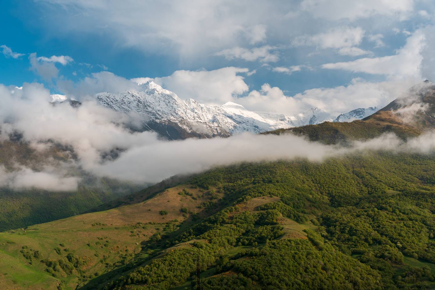 Фотография #13293505