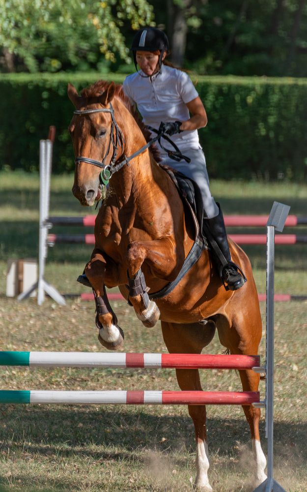 Photograph by Мамсур