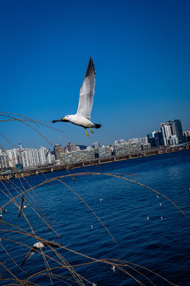 Photograph by Наталья Доброквашина