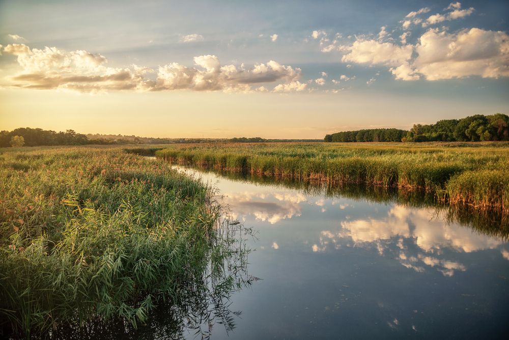 Фотография автора Диденко Юрий
