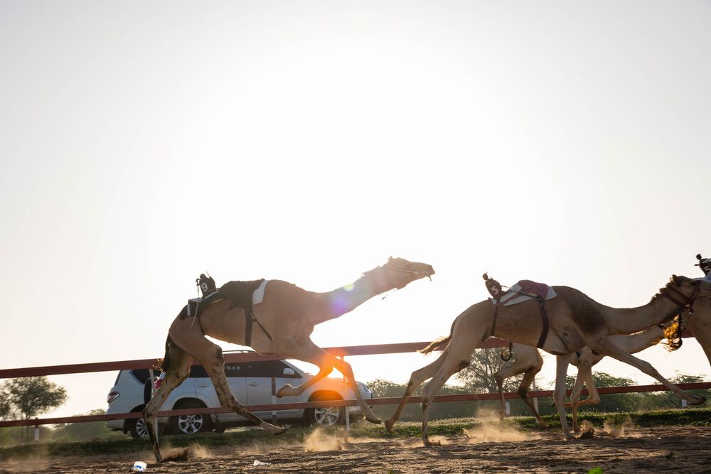 Photograph by Zubair Irshad