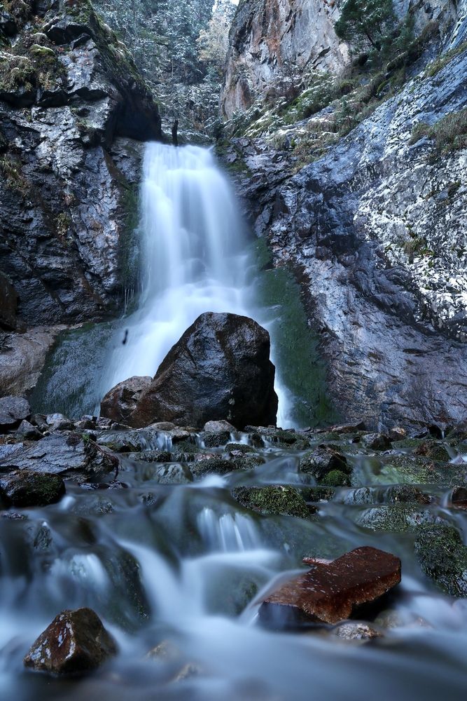 Фотография автора Леонид Голубков