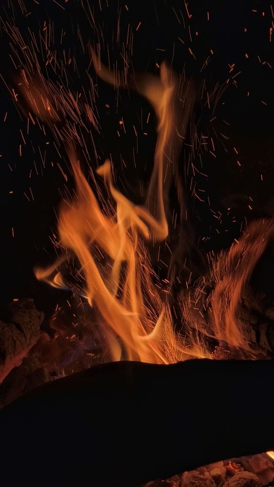 Фотография автора Shalini Jain