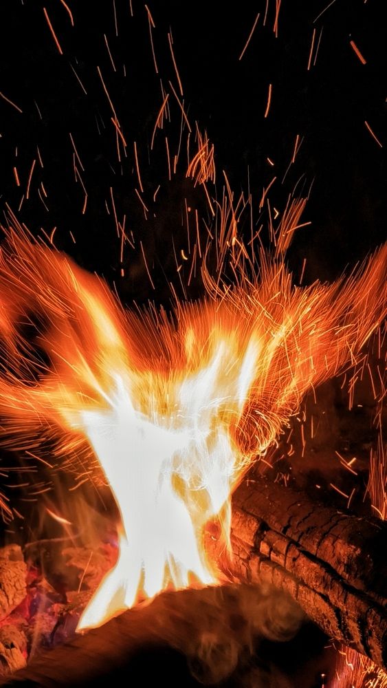 Фотография автора Shalini Jain