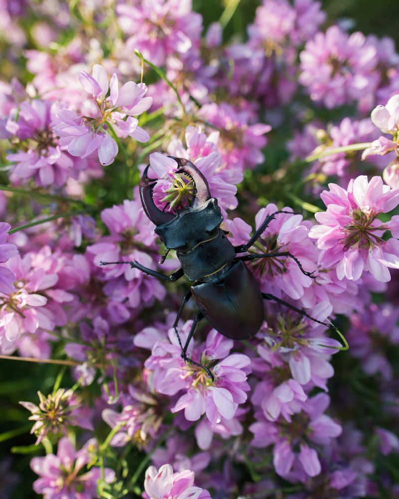 Фотография автора Алексей Проняхин