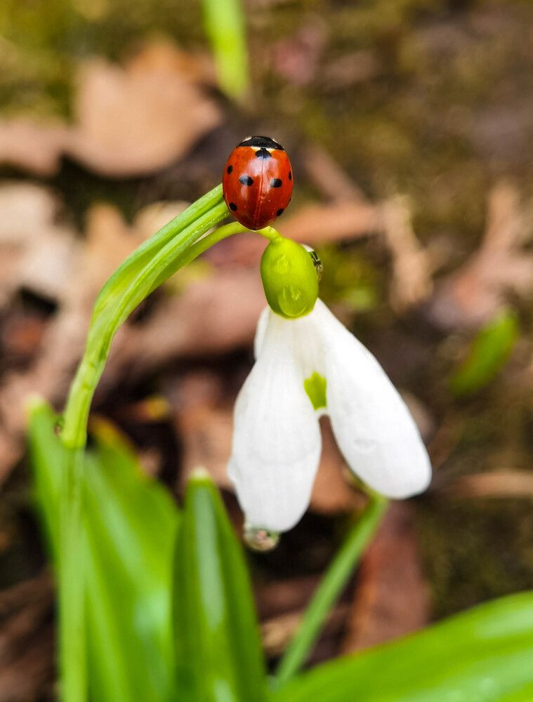 Photograph by Юлия