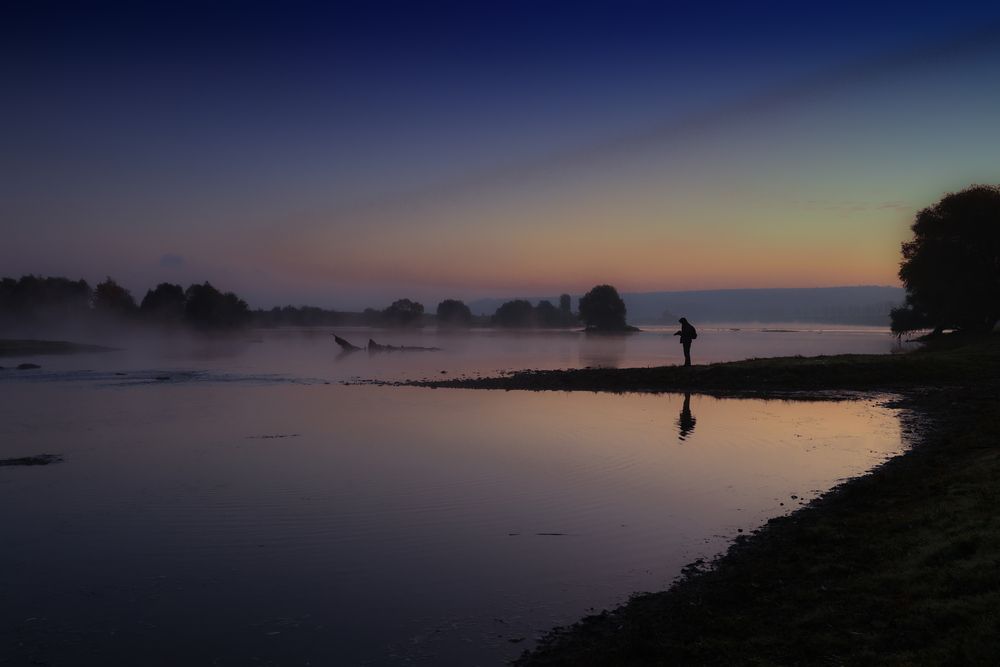 Photograph by Александр Шептикин