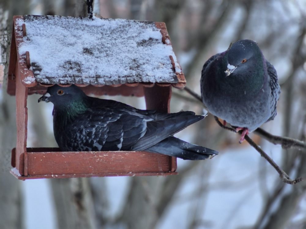 Photograph by Валентина Кузьменко