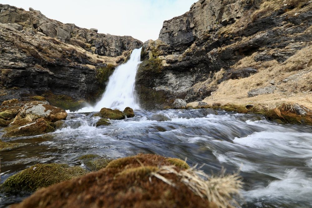 Фотография автора Леонид Голубков