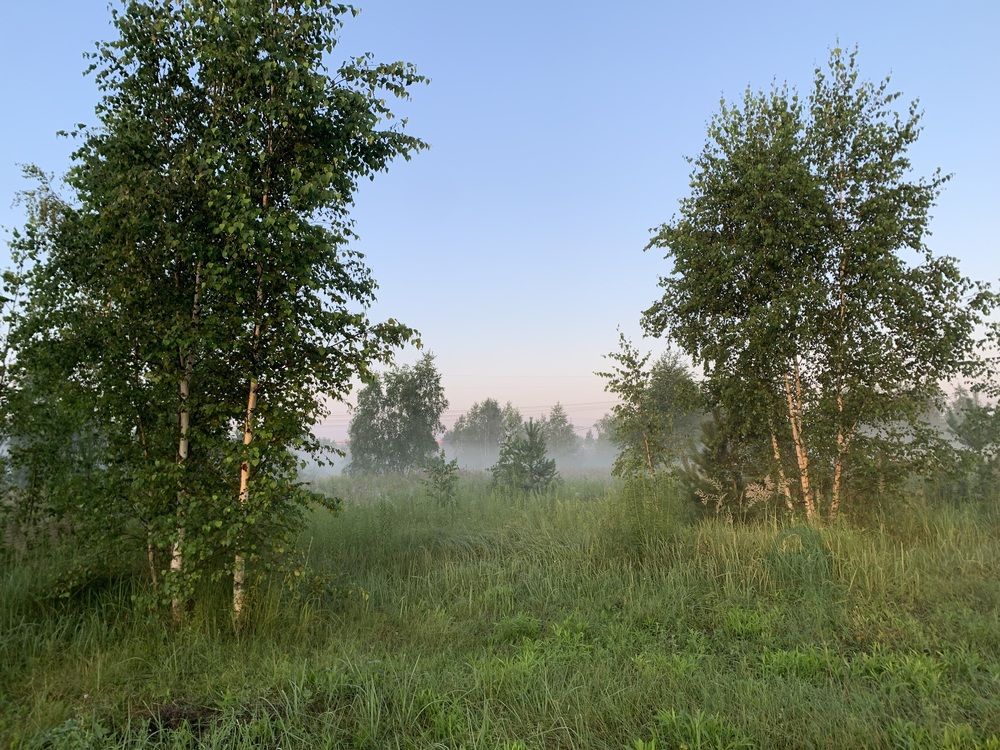 Photograph by Ионова Татьяна