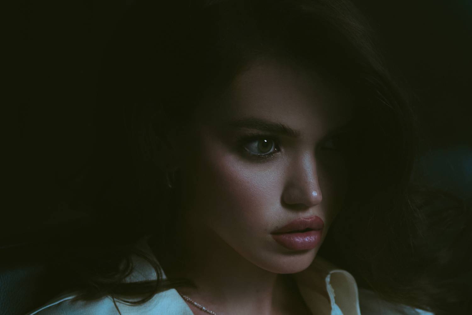 Photo #13293887